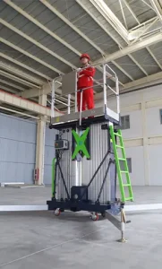 double-mast-vertical-lift 7 double mast vertical lift application (4)